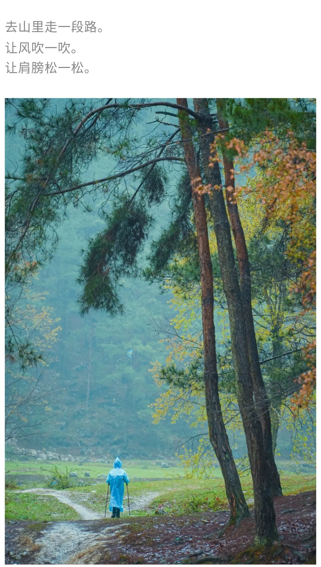 摆金（春天）秀米01_02