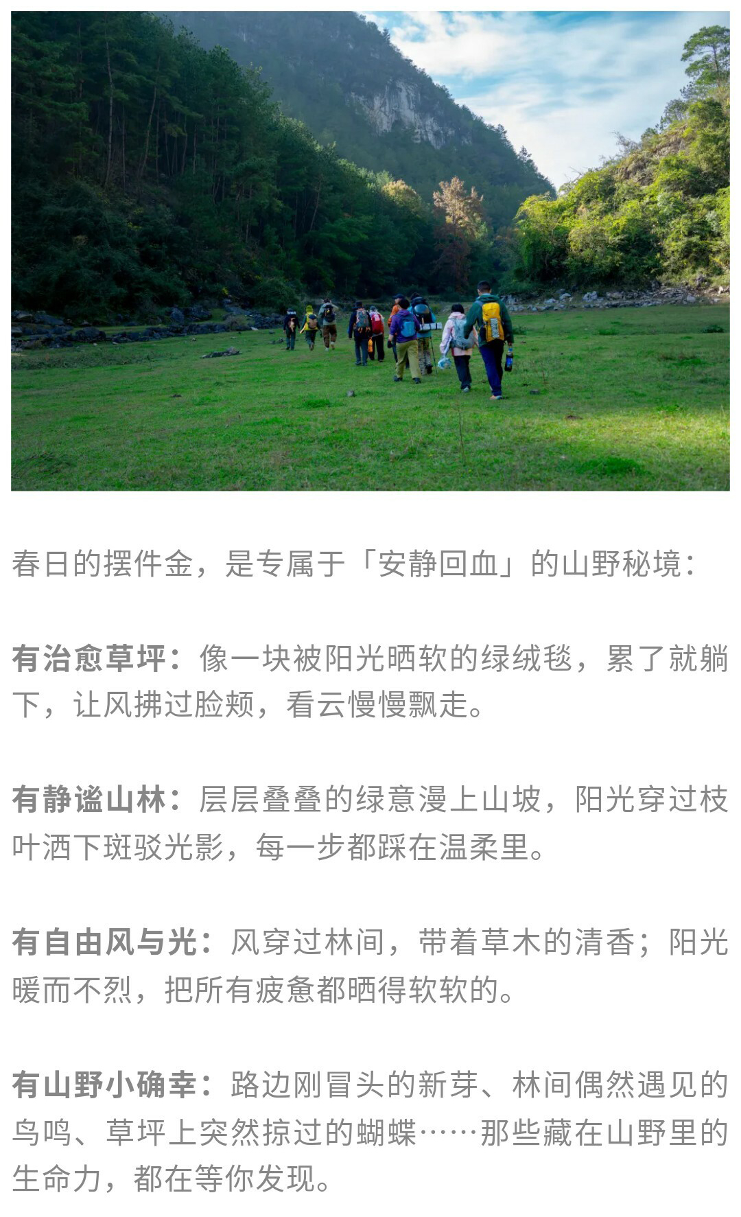 摆金（春天）秀米01_10