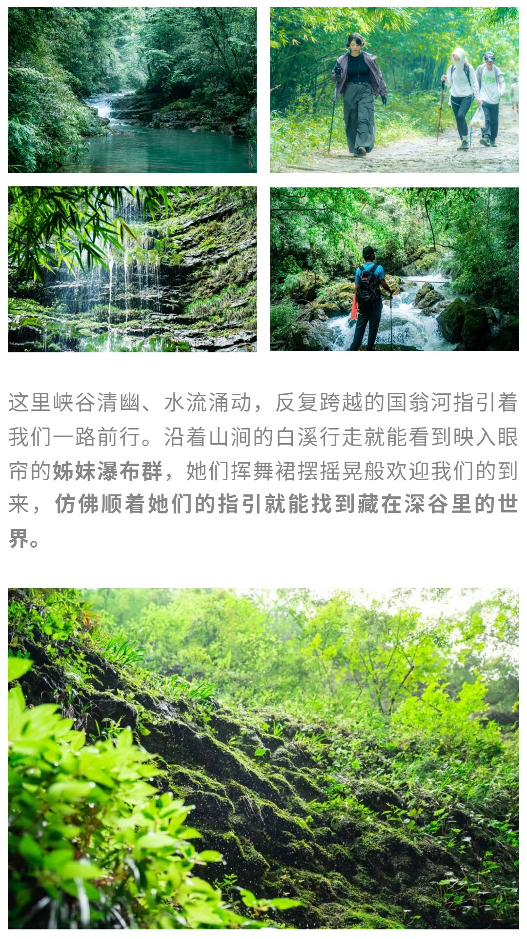 猴子沟-秀米01_08