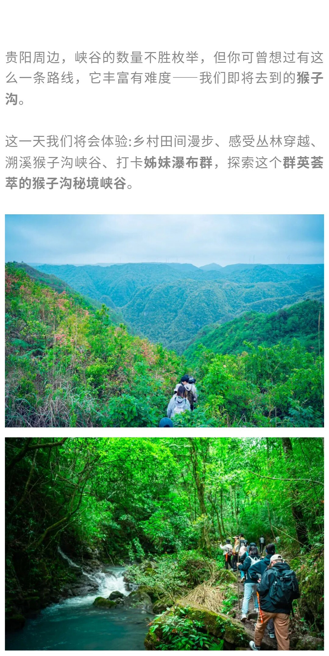 猴子沟-秀米01_02