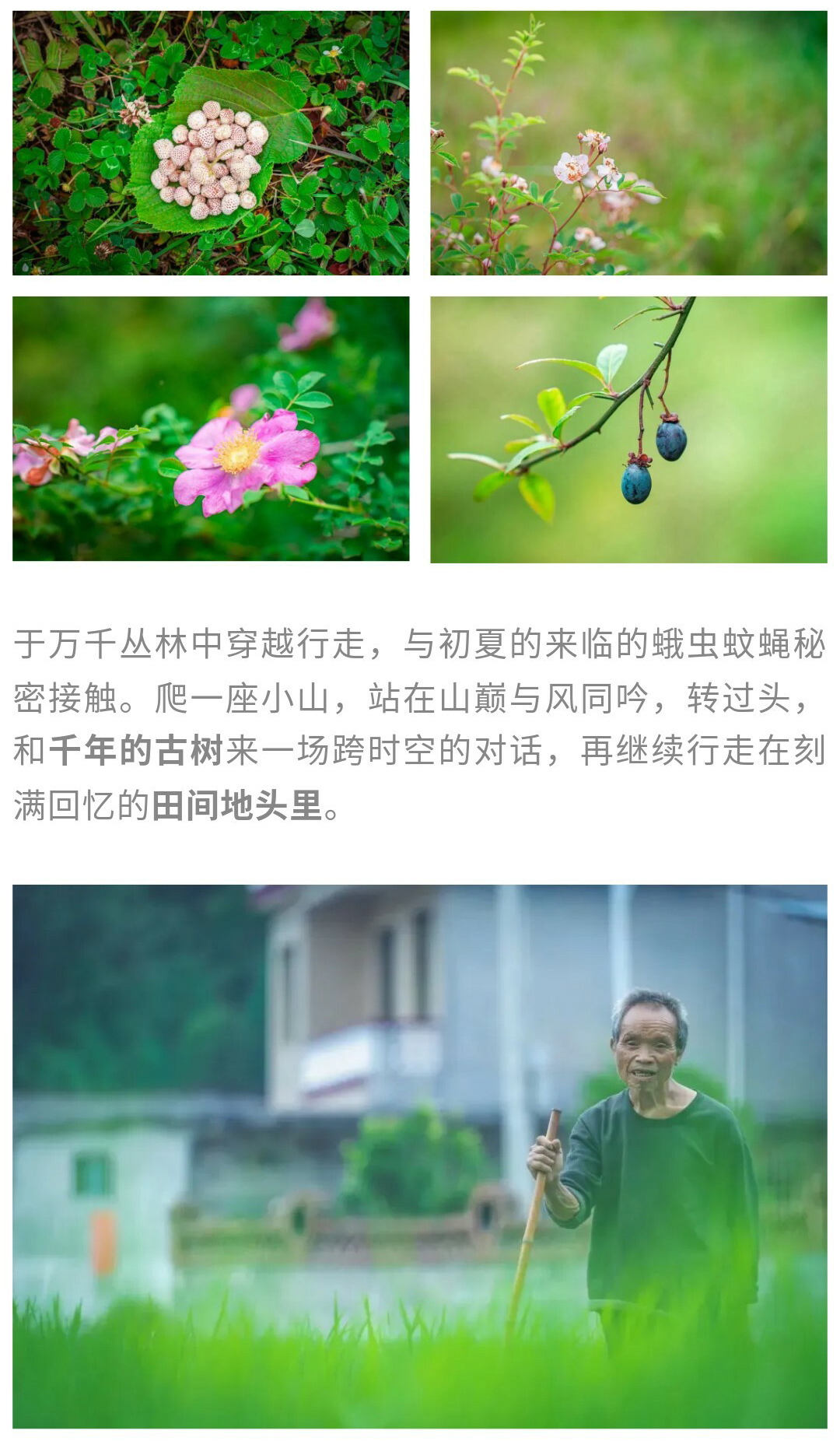 猴子沟-秀米01_05