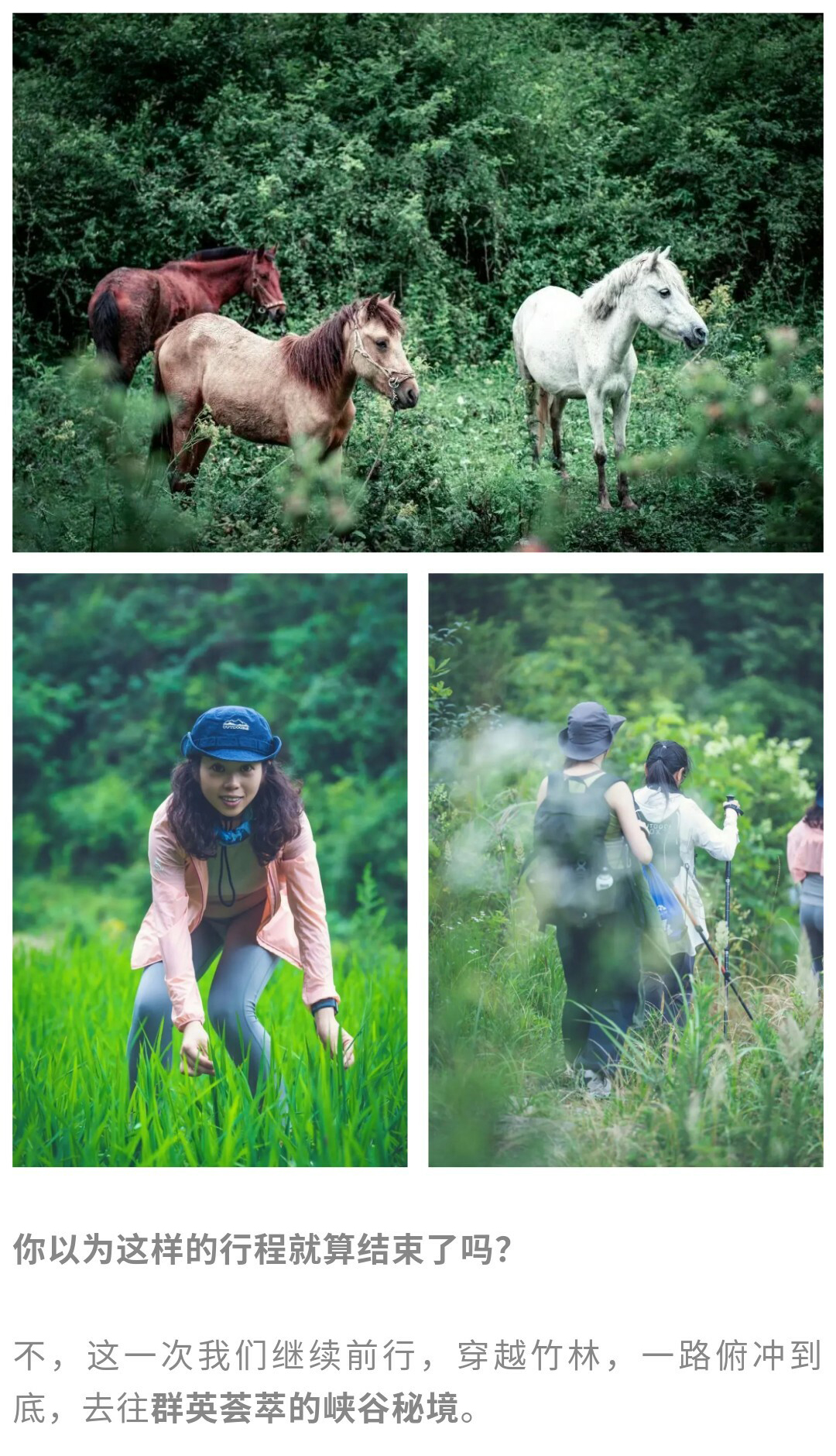 猴子沟-秀米01_06