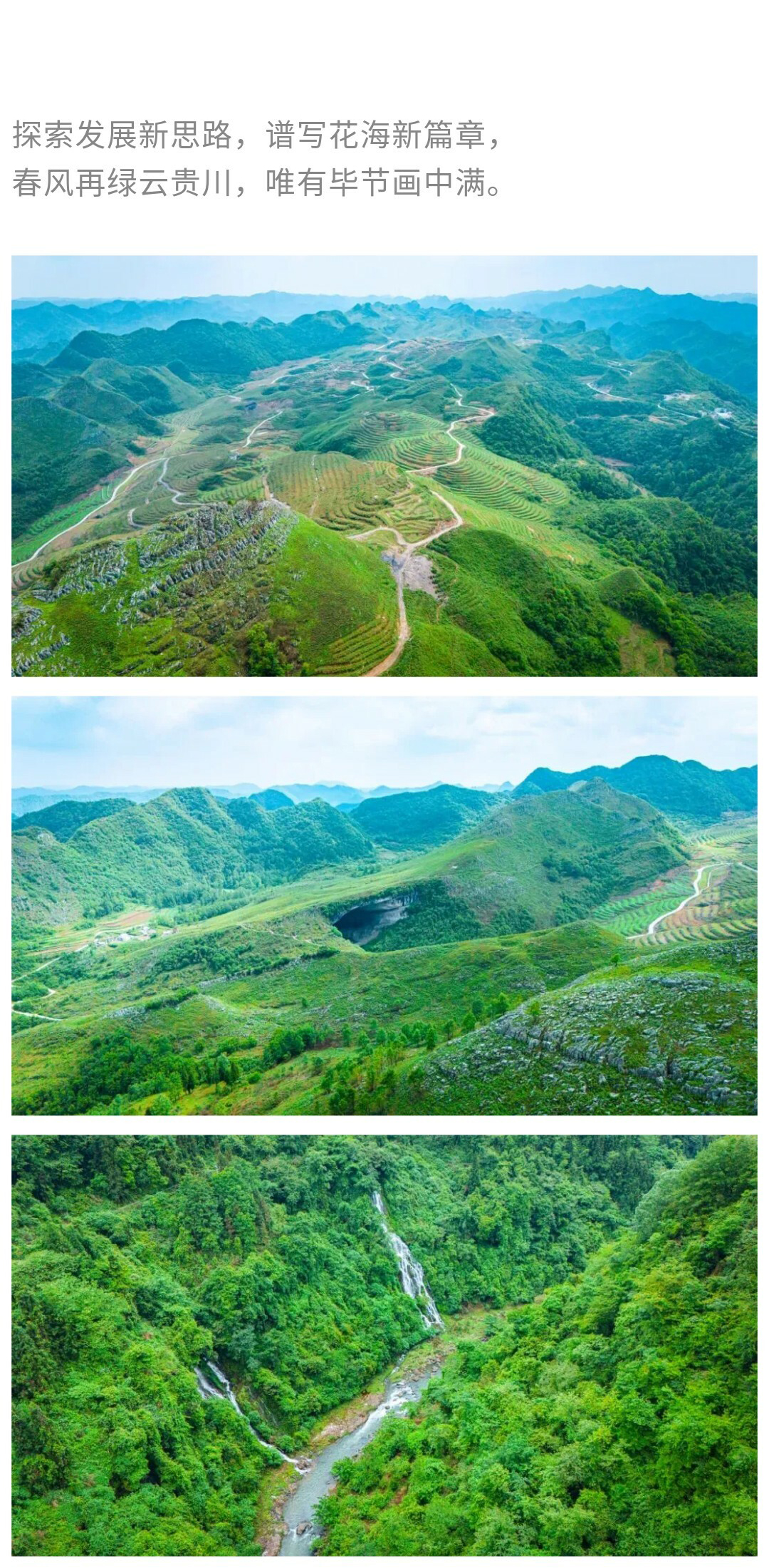 小团·麝香洞01_02