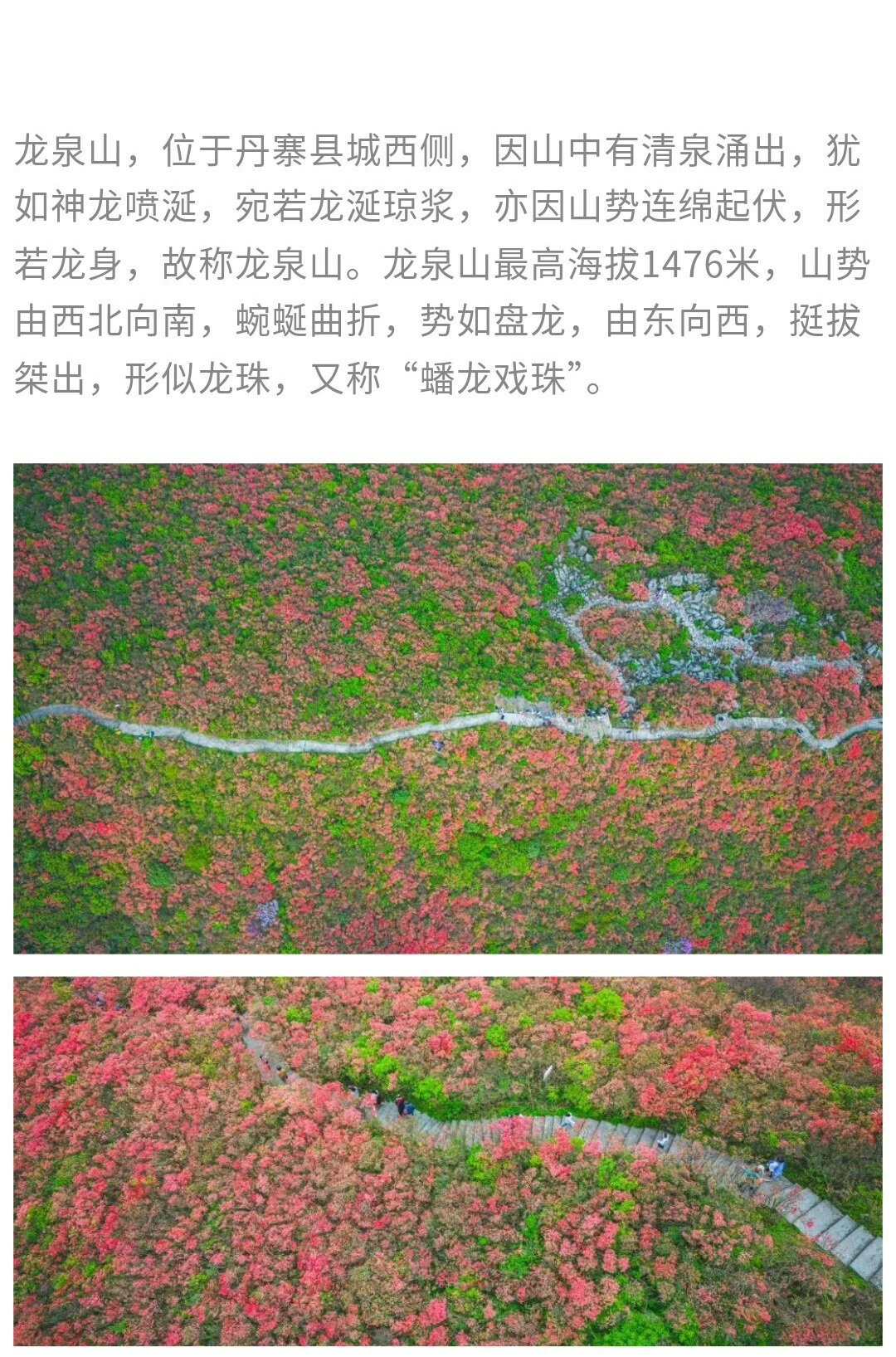 龙泉山-秀米01_02