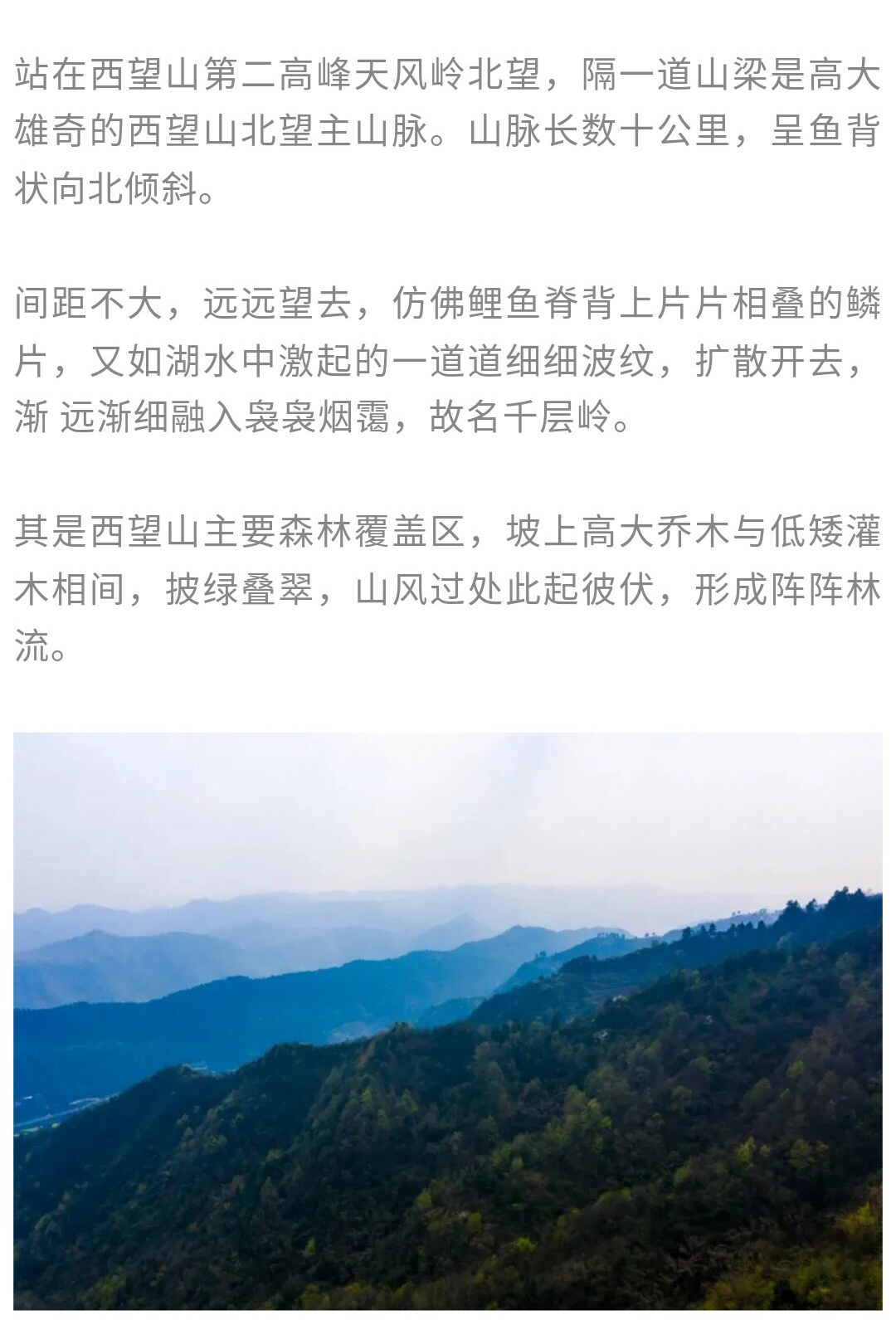 西望山-秀米02_05