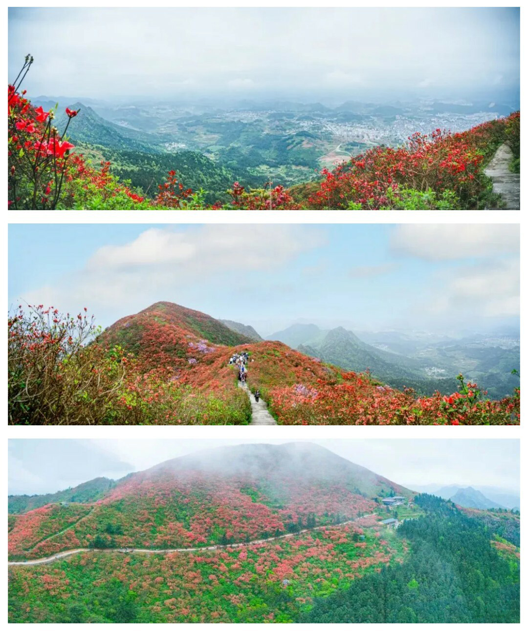 龙泉山-秀米01_03