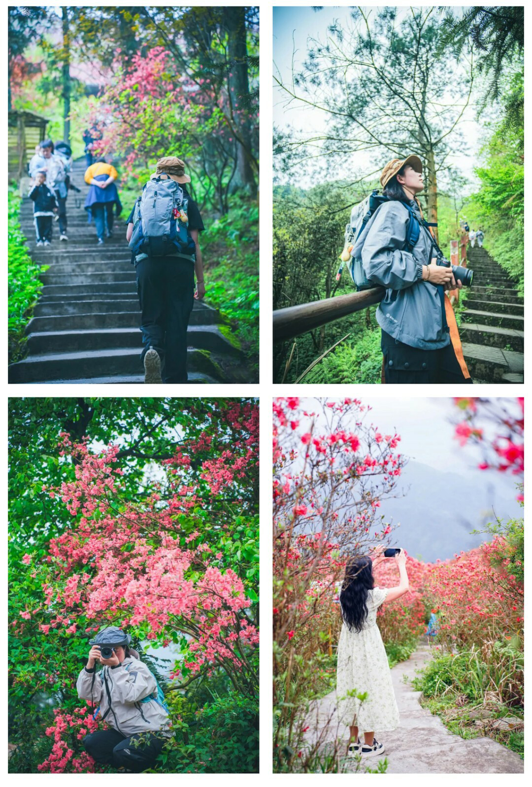 龙泉山-秀米01_07