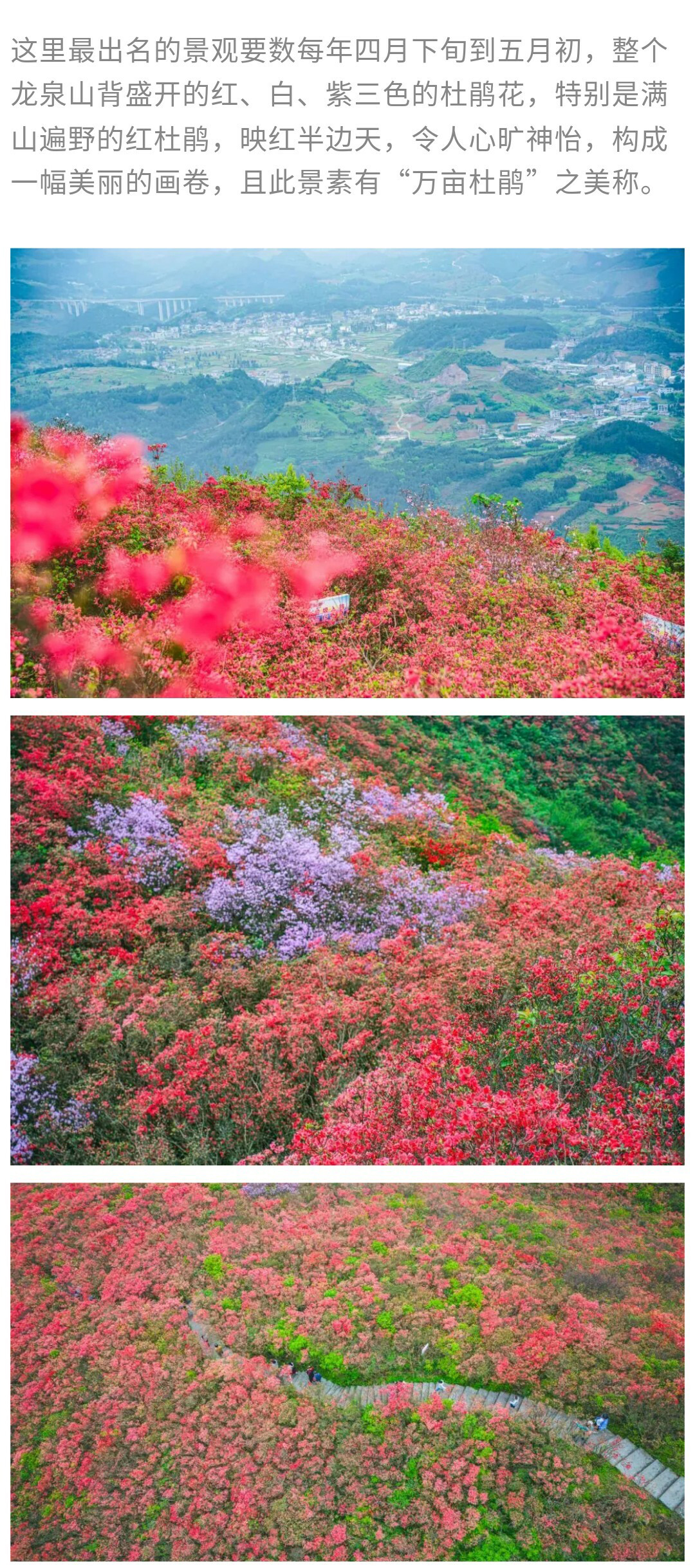 龙泉山-秀米01_08