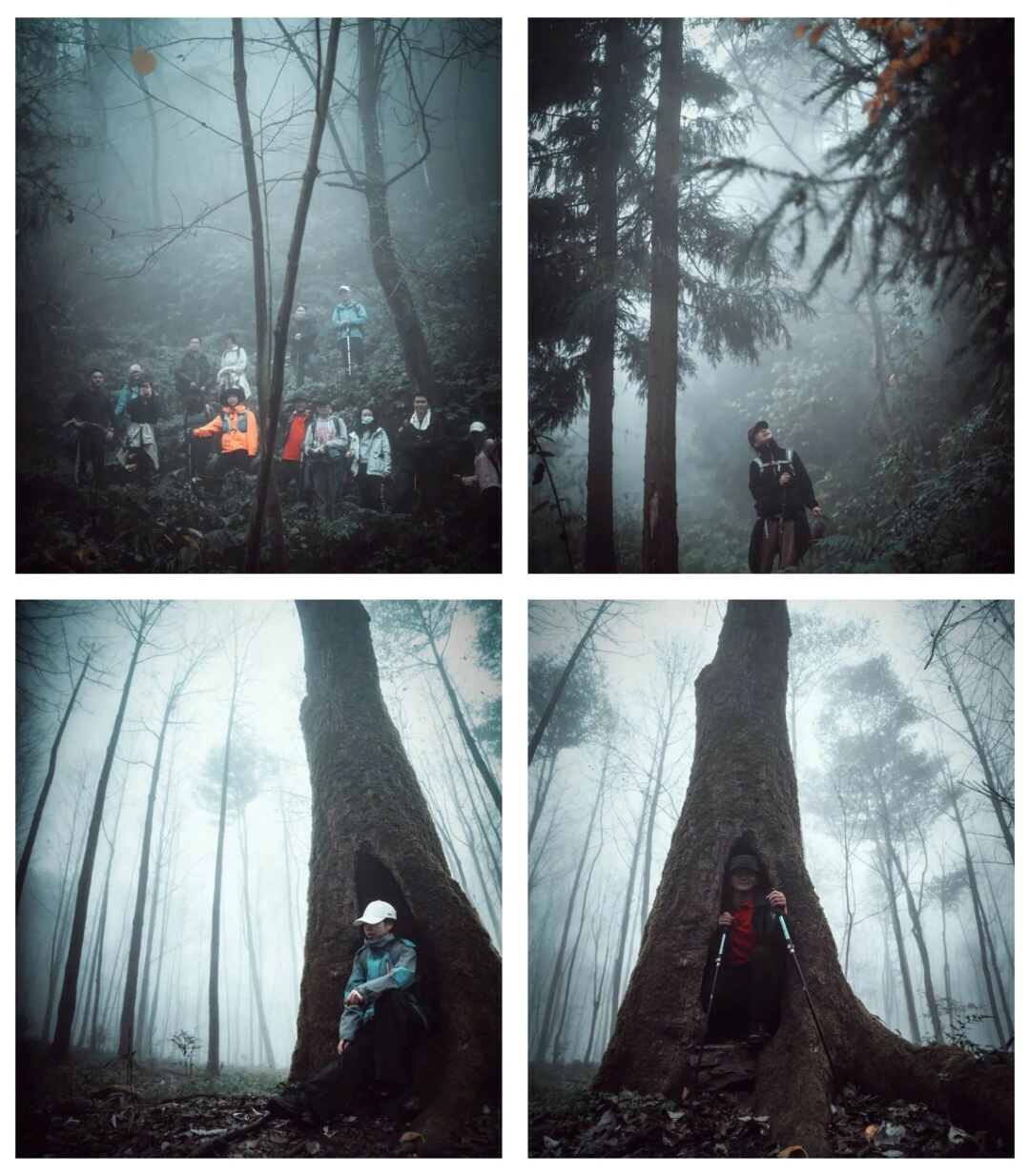 西望山-秀米01_08