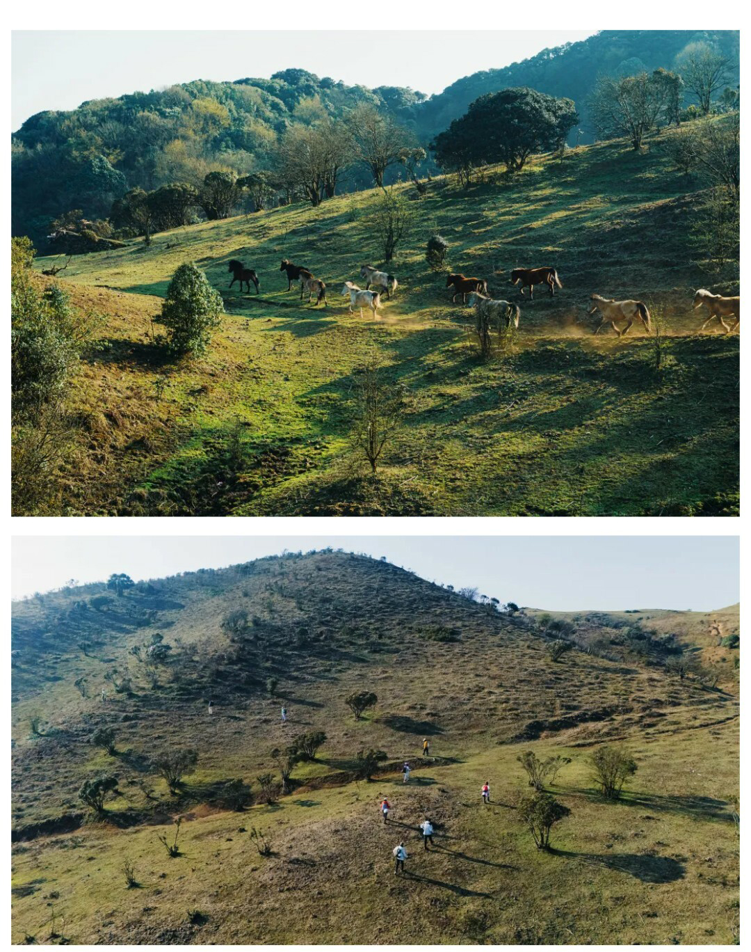 牛棚梁子-更新版-秀米01_11