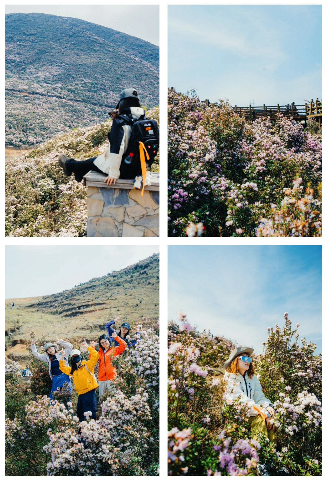 牛棚梁子-更新版-秀米01_18