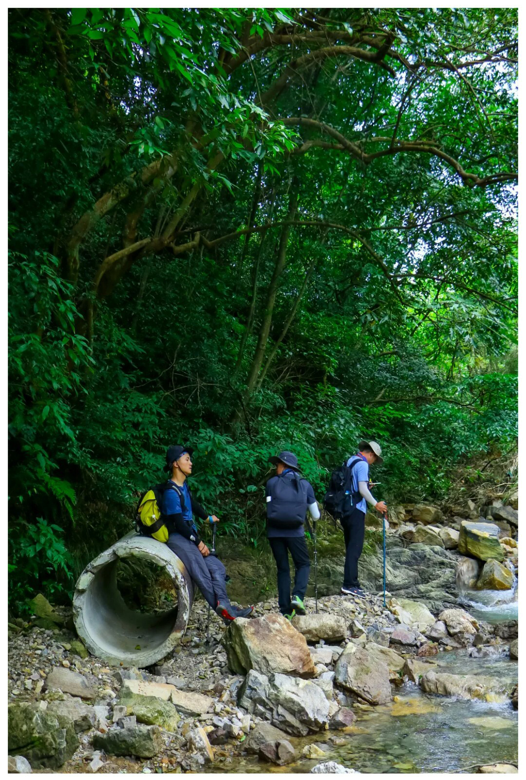 锅底箐_04