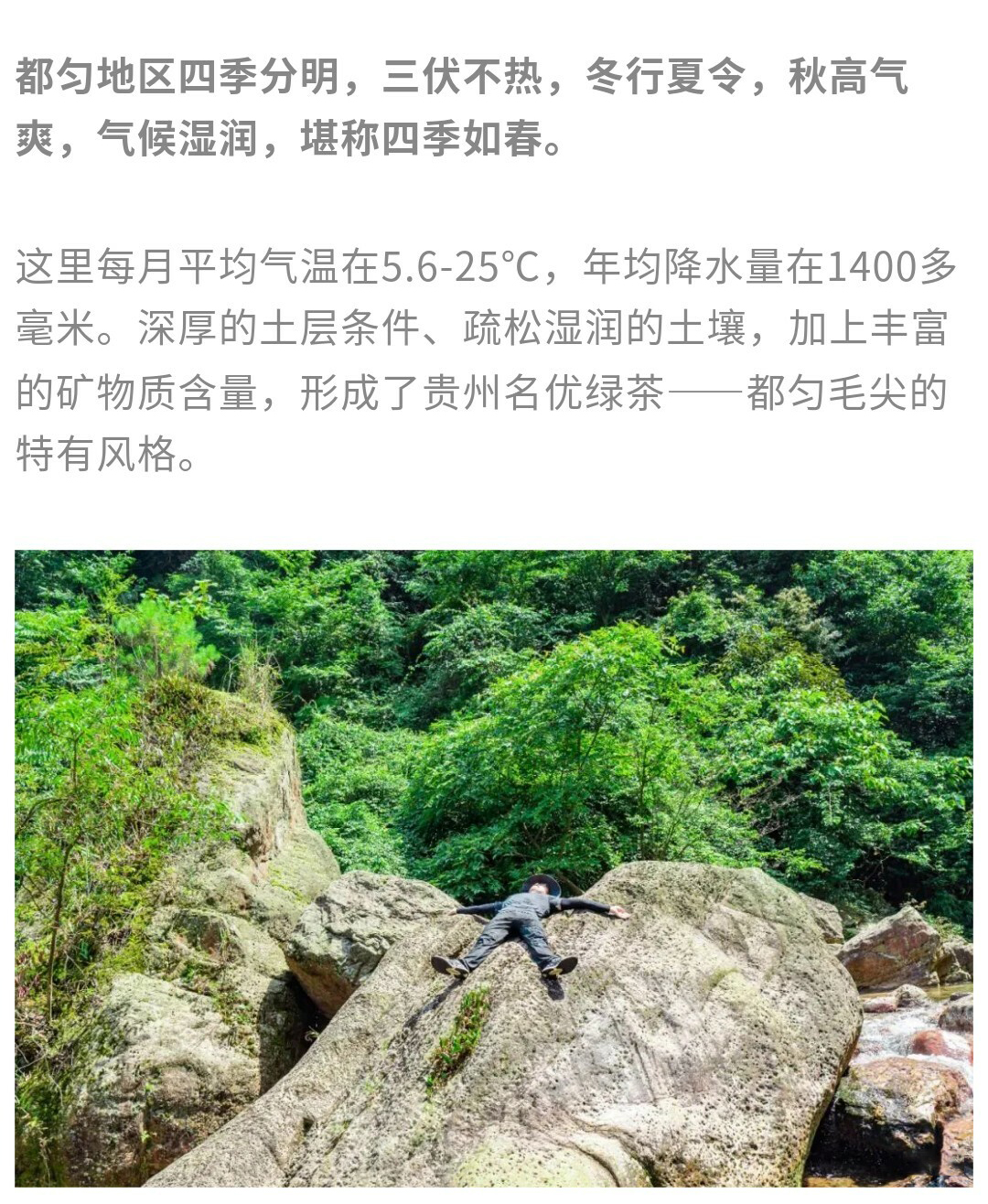 团山_04